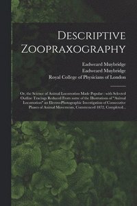 bokomslag Descriptive Zoopraxography; or, the Science of Animal Locomotion Made Popular