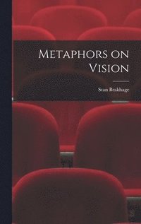 bokomslag Metaphors on Vision