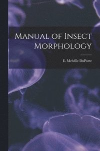 bokomslag Manual of Insect Morphology