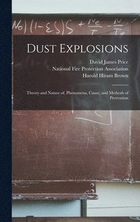 bokomslag Dust Explosions