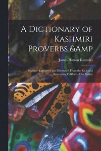 bokomslag Dictionary of Kashmiri Proverbs & Sayings