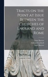 bokomslag Tracts on the Point at Issue Between the Churches of England and Rome