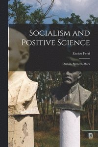bokomslag Socialism and Positive Science