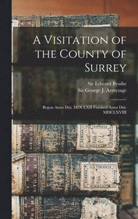 bokomslag A Visitation of the County of Surrey