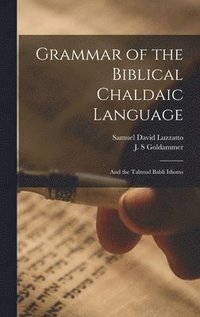 bokomslag Grammar of the Biblical Chaldaic Language
