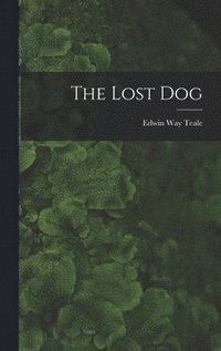 bokomslag The Lost Dog
