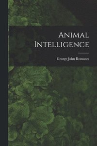 bokomslag Animal Intelligence [microform]