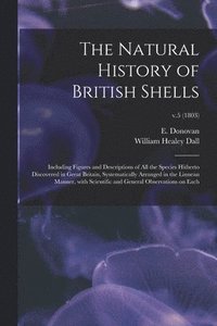 bokomslag The Natural History of British Shells