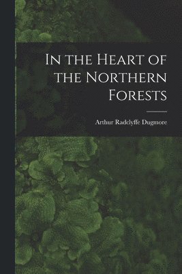 In the Heart of the Northern Forests 1