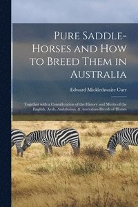 bokomslag Pure Saddle-horses and How to Breed Them in Australia