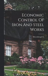 bokomslag Economic Control Of Iron And Steel Works