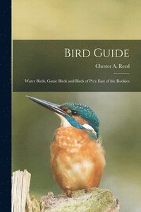 bokomslag Bird Guide