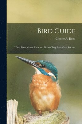 Bird Guide 1