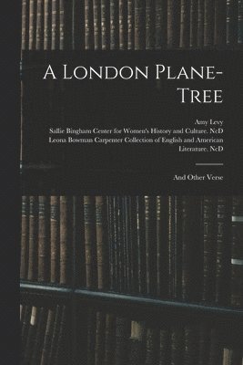 London Plane-tree