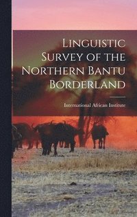 bokomslag Linguistic Survey of the Northern Bantu Borderland