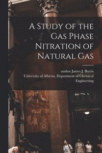bokomslag A Study of the Gas Phase Nitration of Natural Gas