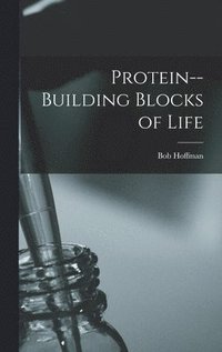 bokomslag Protein--building Blocks of Life