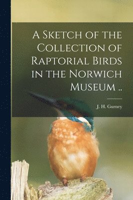 bokomslag Sketch of the Collection of Raptorial Birds in the Norwich Museum ..