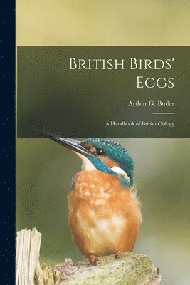 bokomslag British Birds' Eggs