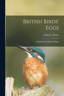 Arthur G. (Arthur Gardiner) Butler - British Birds' Eggs, Häftad