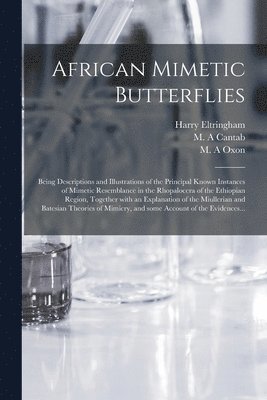 African Mimetic Butterflies 1