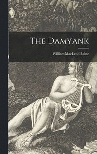 bokomslag The Damyank