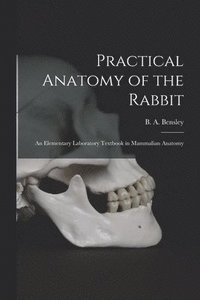 bokomslag Practical Anatomy of the Rabbit [microform]