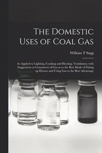 bokomslag The Domestic Uses of Coal Gas