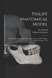 bokomslag Philips' Anatomical Model