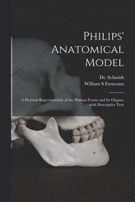 Philips' Anatomical Model 1