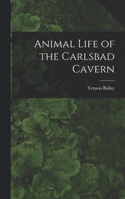 bokomslag Animal Life of the Carlsbad Cavern