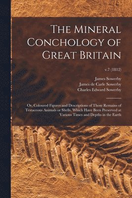 bokomslag The Mineral Conchology of Great Britain; or, Coloured Figures and Descriptions of Those Remains of Testaceous Animals or Shells, Which Have Been Preserved at Various Times and Depths in the Earth;