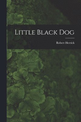 bokomslag Little Black Dog