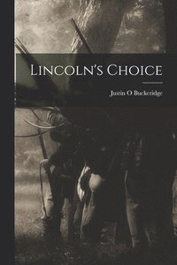 bokomslag Lincoln's Choice