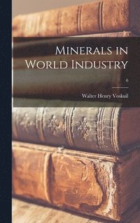 bokomslag Minerals in World Industry; 6