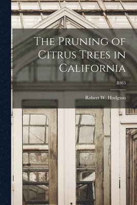 The Pruning of Citrus Trees in California; B363 1