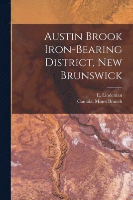 Austin Brook Iron-bearing District, New Brunswick [microform] 1