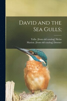 Yolla Niclas, Marion Downer - David and the Sea Gulls;, Häftad