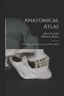 bokomslag Anatomical Atlas