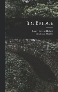 bokomslag Big Bridge
