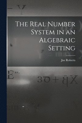 bokomslag The Real Number System in an Algebraic Setting