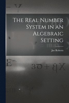 The Real Number System in an Algebraic Setting 1