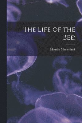 bokomslag The Life of the Bee;