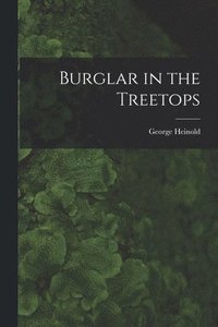 bokomslag Burglar in the Treetops