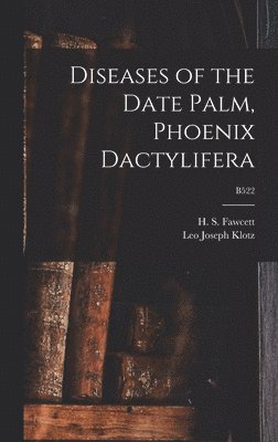 bokomslag Diseases of the Date Palm, Phoenix Dactylifera; B522