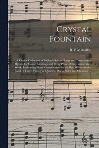 bokomslag Crystal Fountain