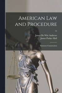 bokomslag American Law and Procedure