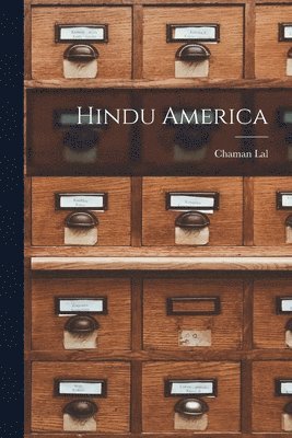 bokomslag Hindu America