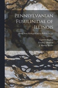 bokomslag Pennsylvanian Fusulinidae of Illinois; Illinois State Geological Survey Bulletin No. 67