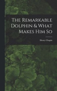 bokomslag The Remarkable Dolphin & What Makes Him So